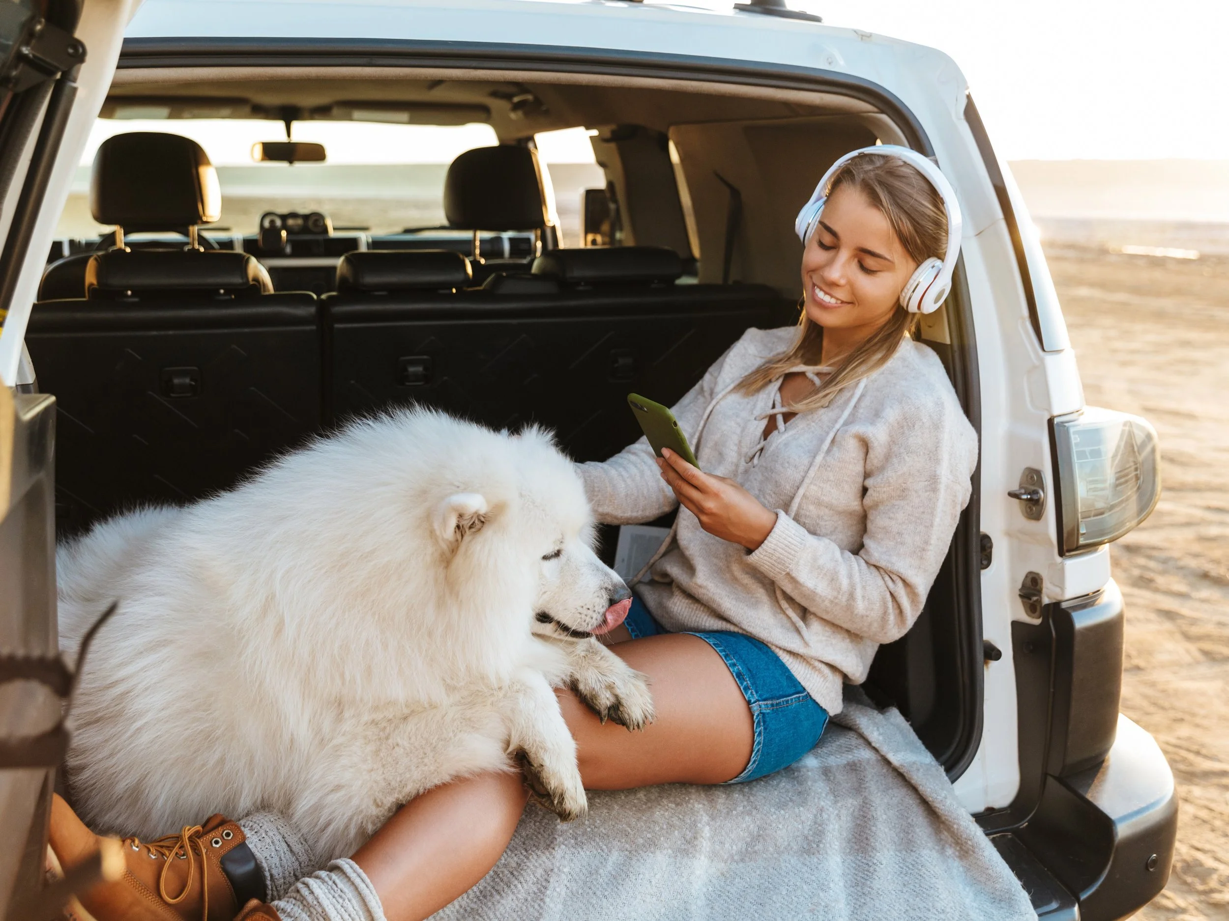 Added Value for Veterinary Clinic Clients with Telemedicine