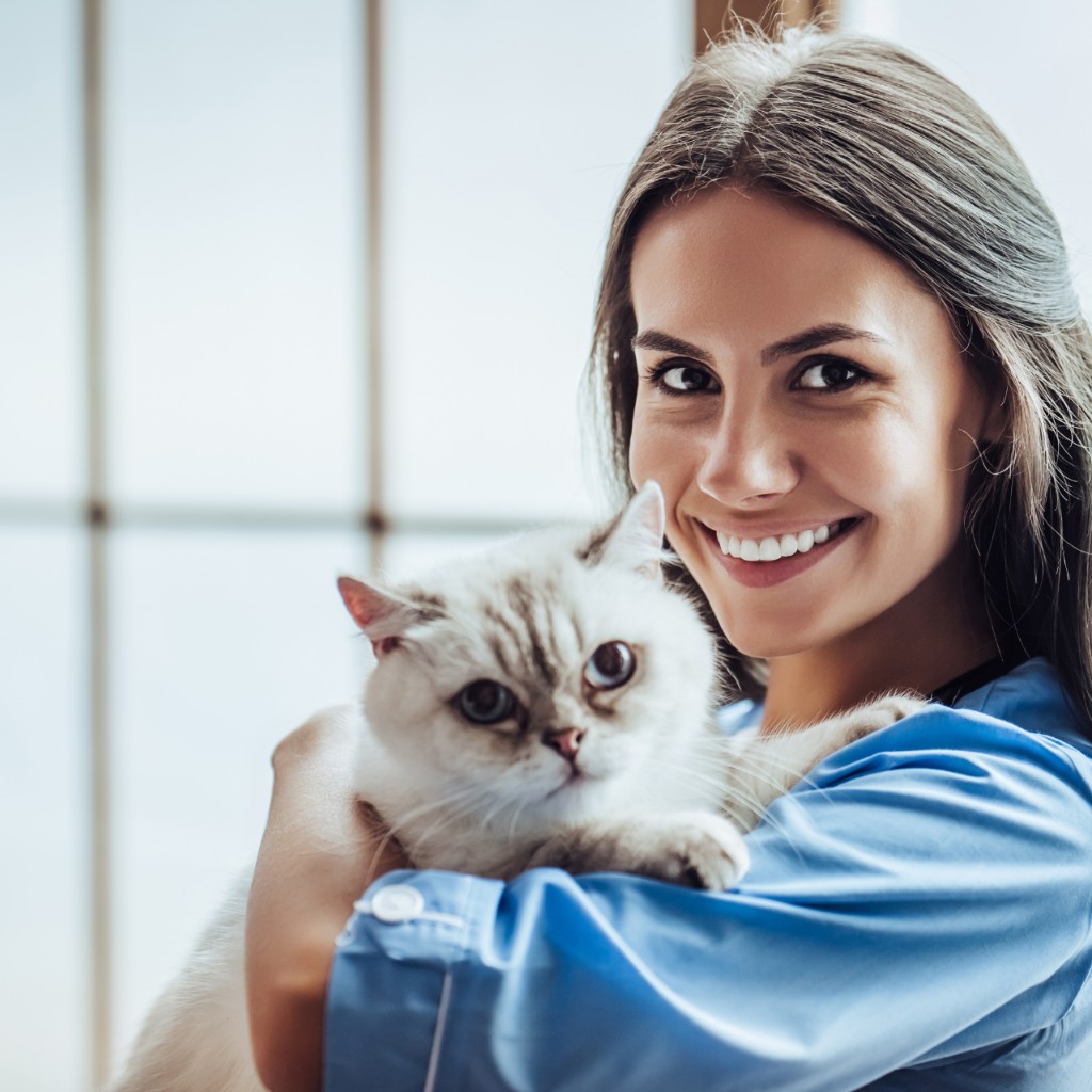 Veterinary professional holding a cat in a bright clinic setting