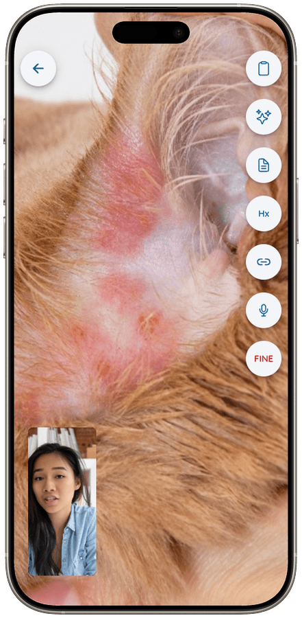Vetibility su iPhone: visita video con controlli durante la chiamata