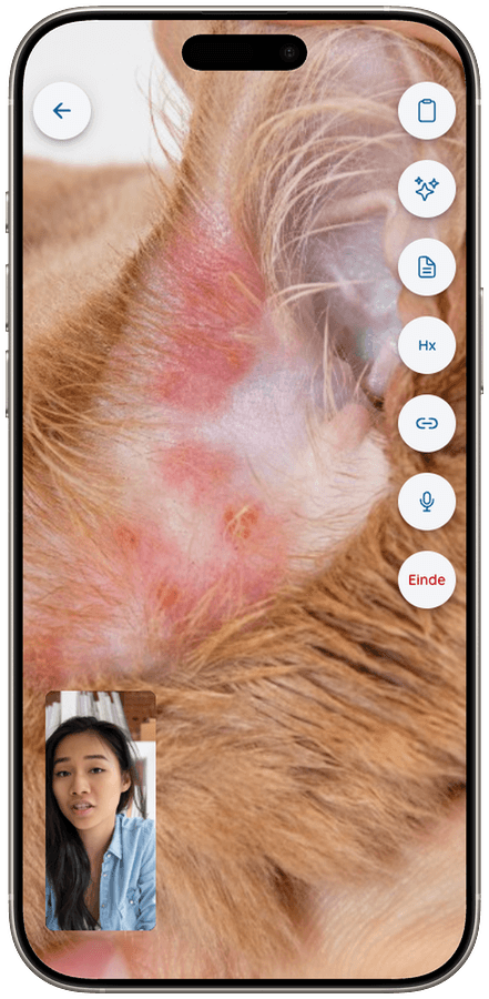 Vetibility op iPhone: videoconsult met gespreksbediening