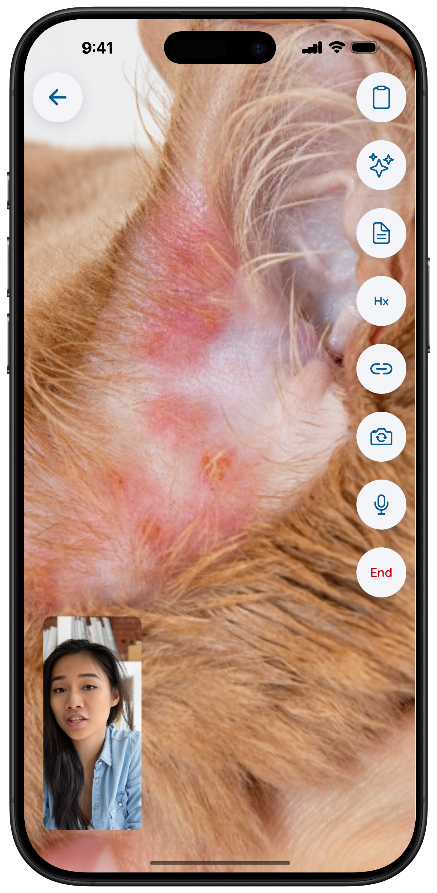 Vetibility on iPhone: video visit with in-call controls