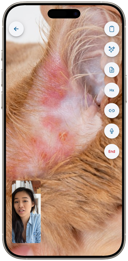 Vetibility on iPhone: video visit with in-call controls