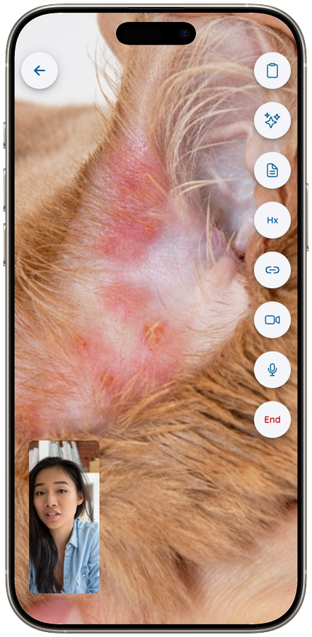 Vetibility on iPhone: video visit with in-call controls