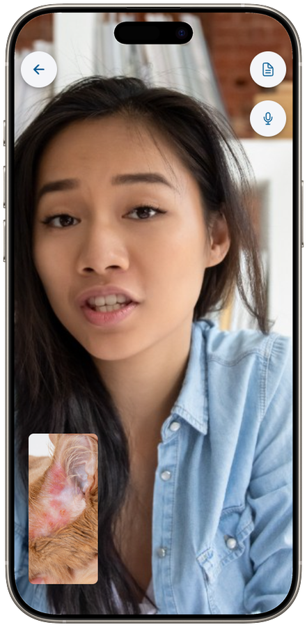 غرفة فحص اللياقة البدنية بالفيديو على iPhone لأصحاب الحيوانات الأليفة