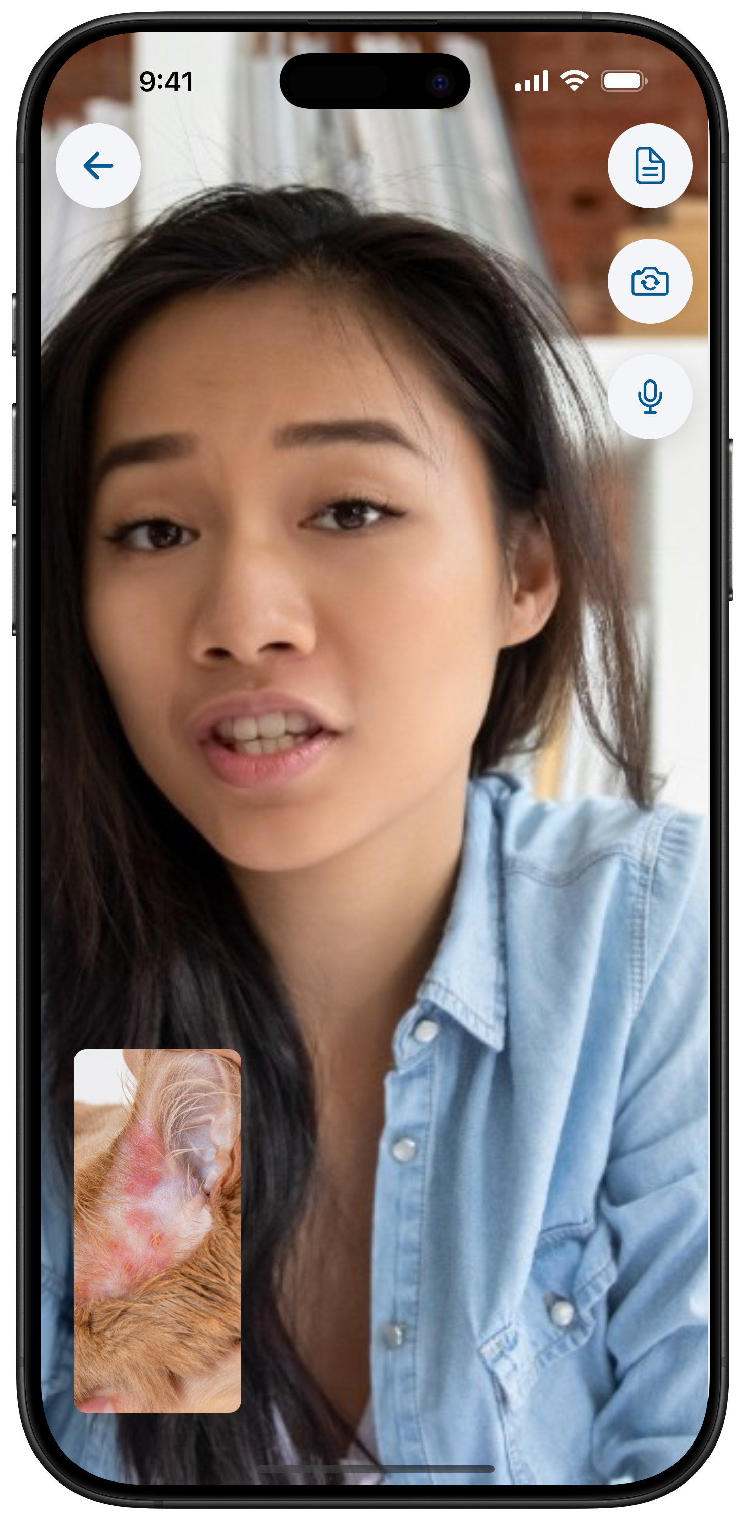 Vetibility video exam room on iPhone for pet owners