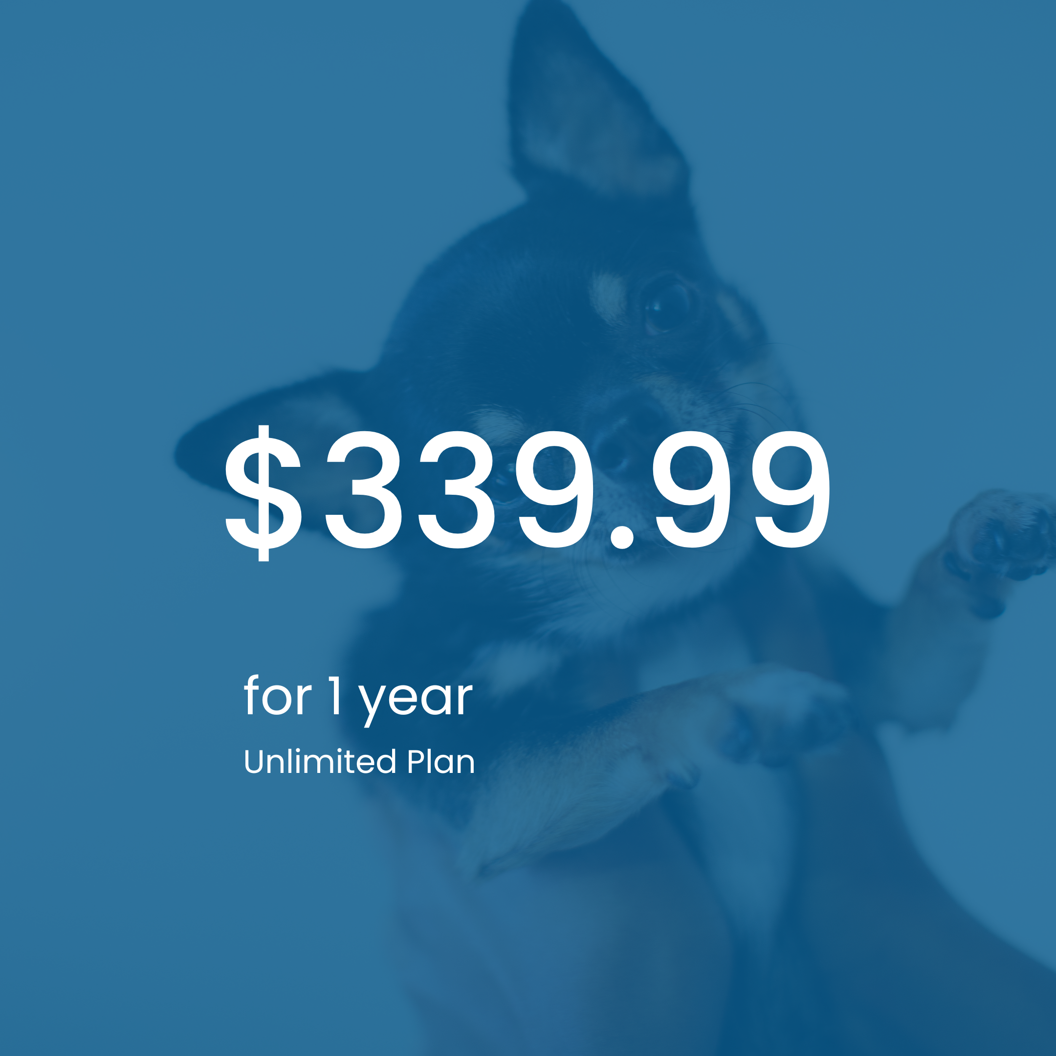 Vetibility+ 1 Year Subscription Plan