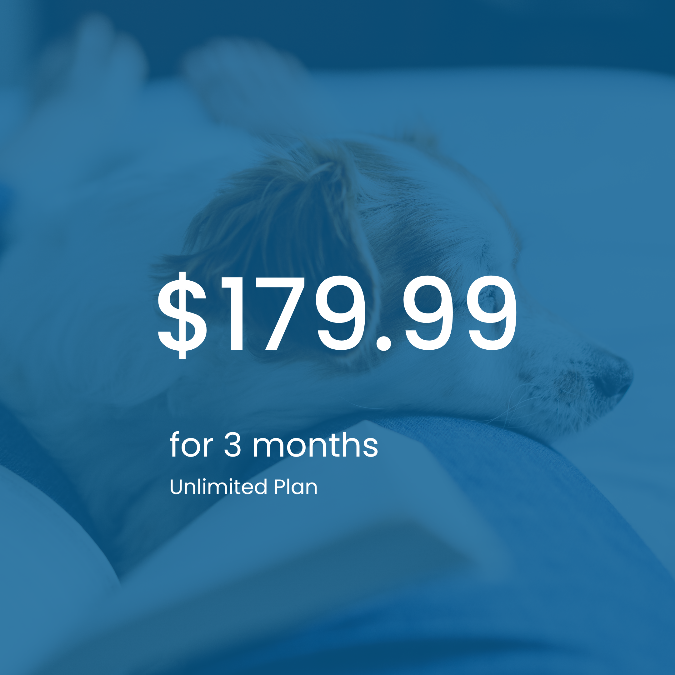 Vetibility+ 3 Months Subscription Plan