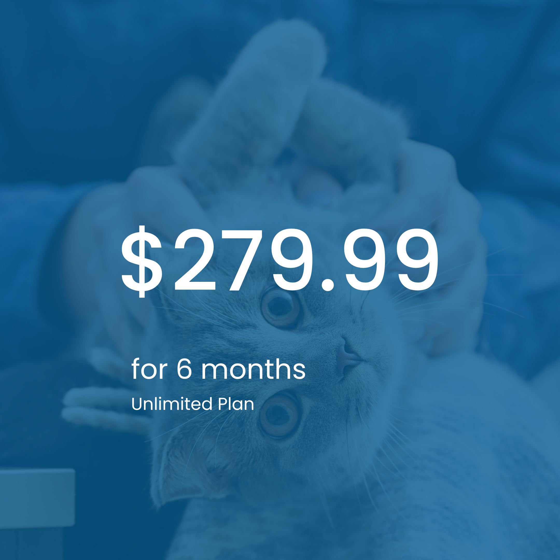 Vetibility+ 6 Months Subscription Plan