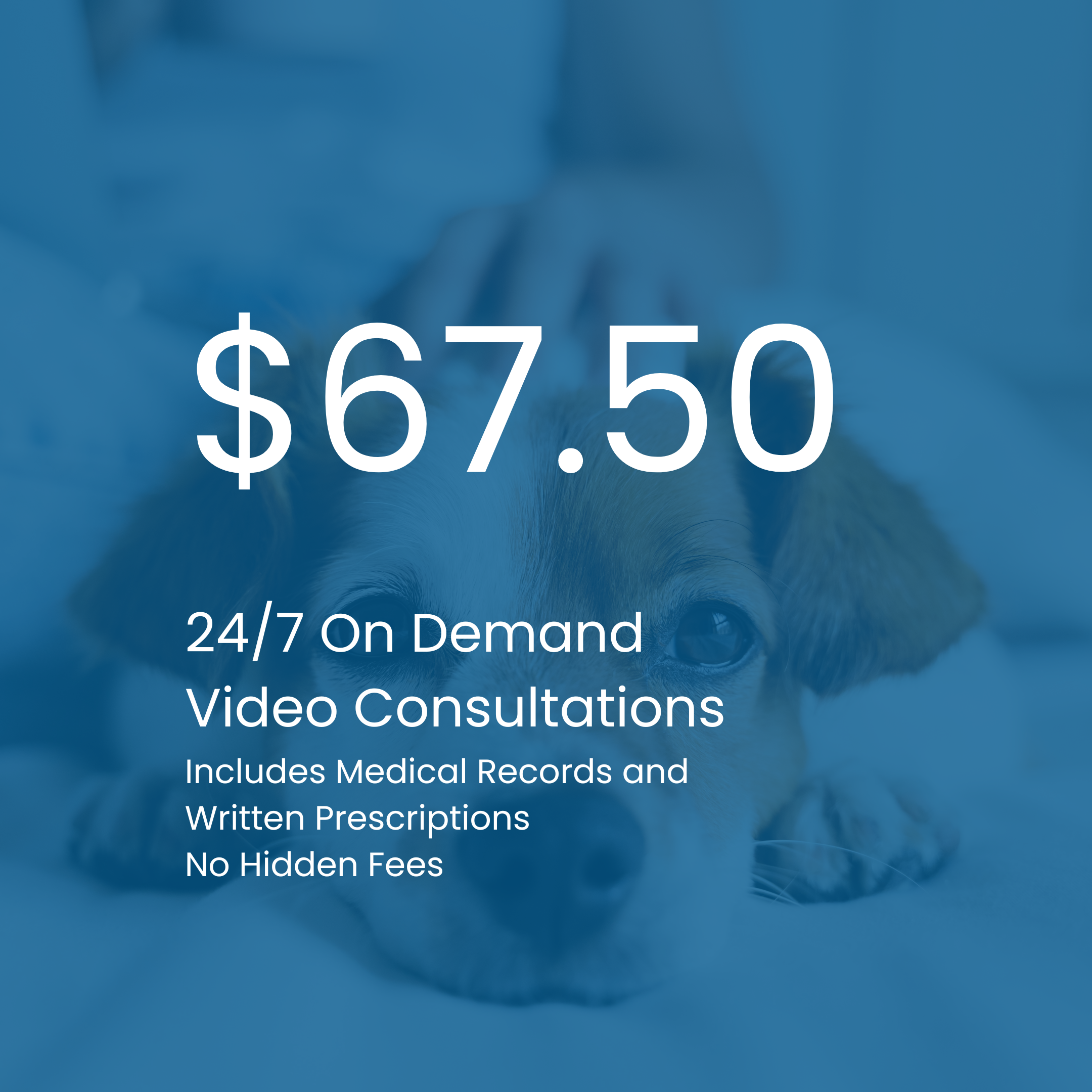 Vetibility On-Demand Appointment Pricing Example